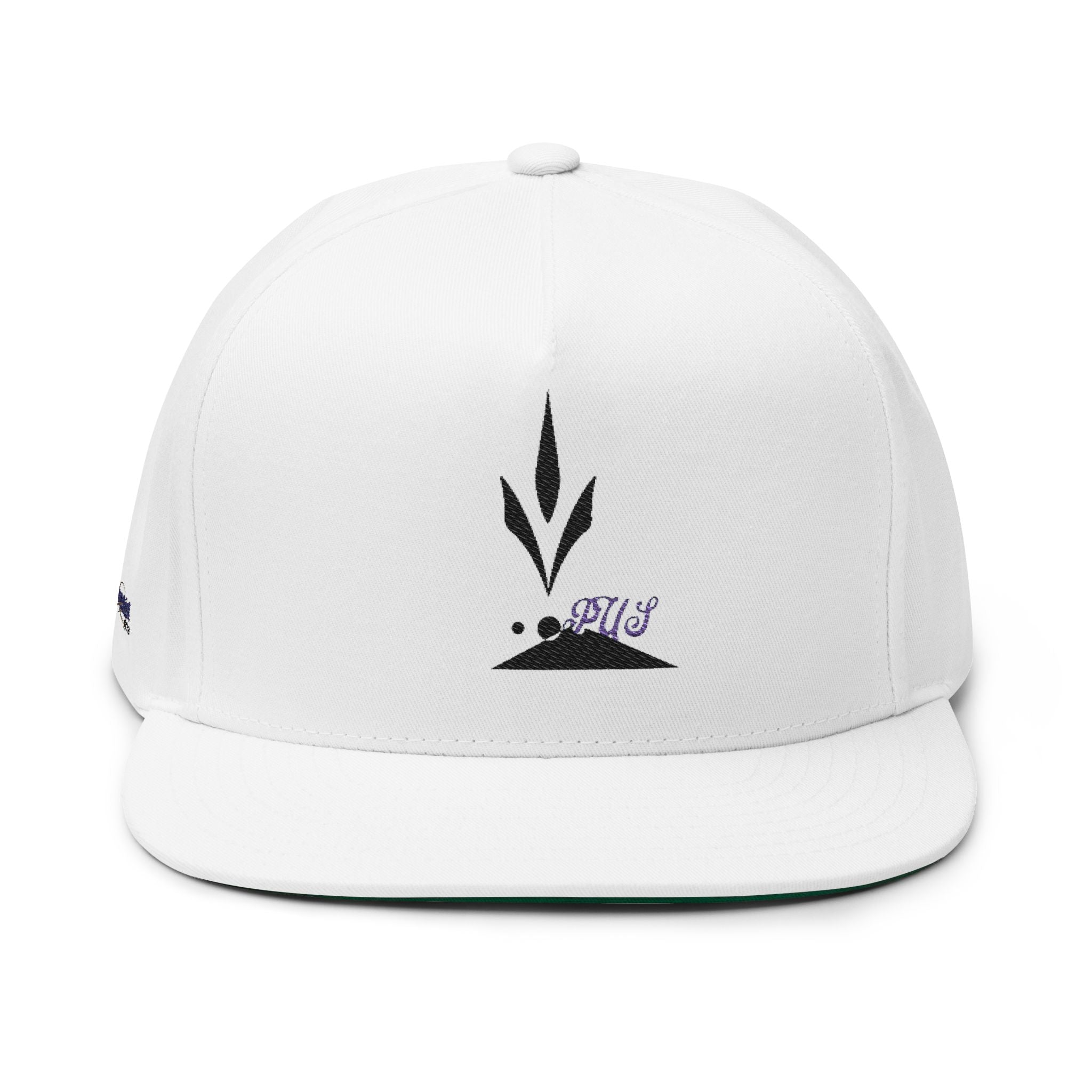 PUS  Cap | Flat Bill Cap embroidered, 1978 back detail